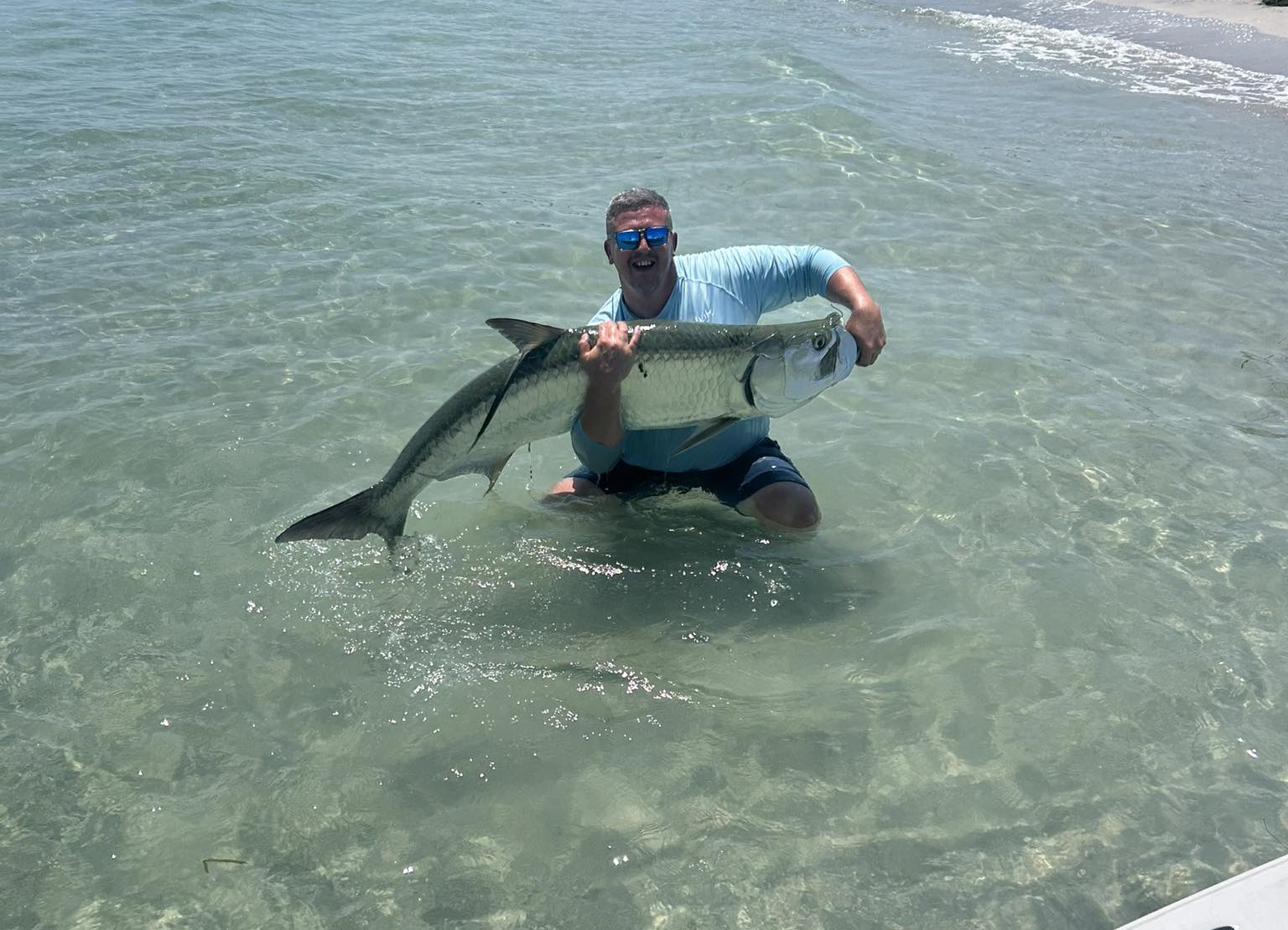 tarpon